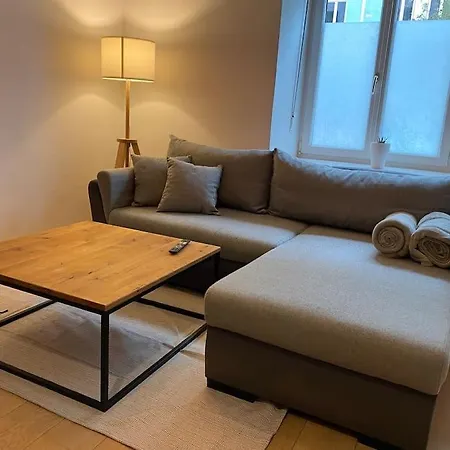 Charmante Wohnung, Perfekt Für Familien Und Freunde Graz