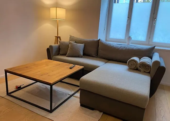 Charmante Wohnung, Perfekt Fuer Familien Und Freunde Graz